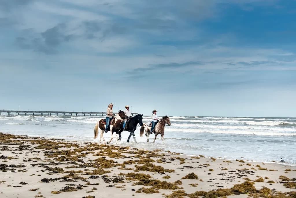 Hurghada Horse Riding & Beach Swim — image 1