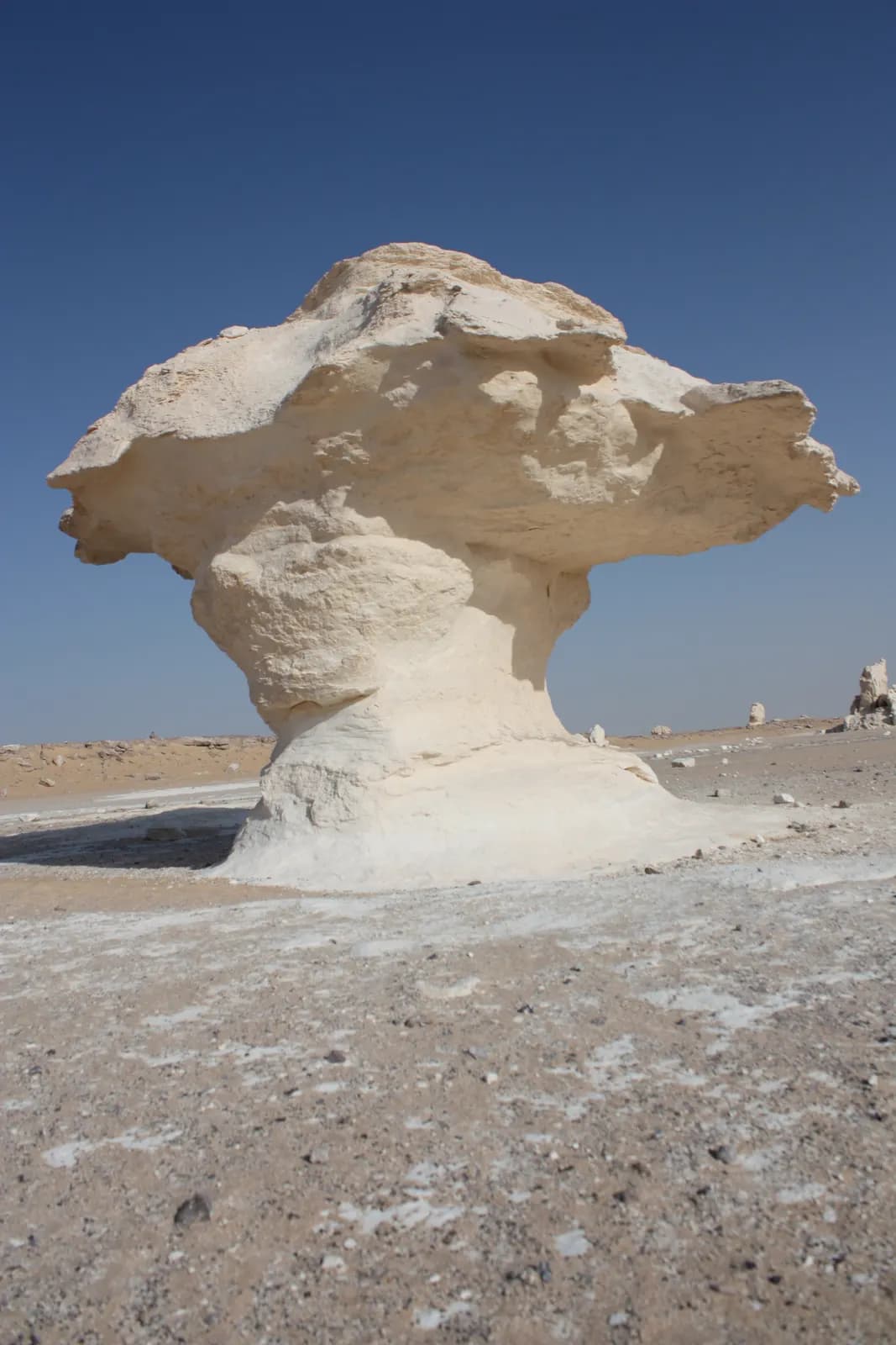 White Desert & Bahariya Oasis Adventure