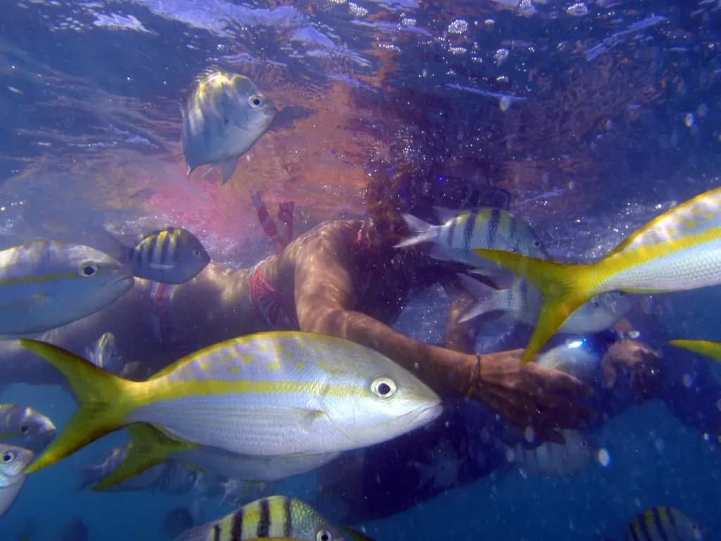 Hurghada Beginner Diving (Two Stops) — image 1