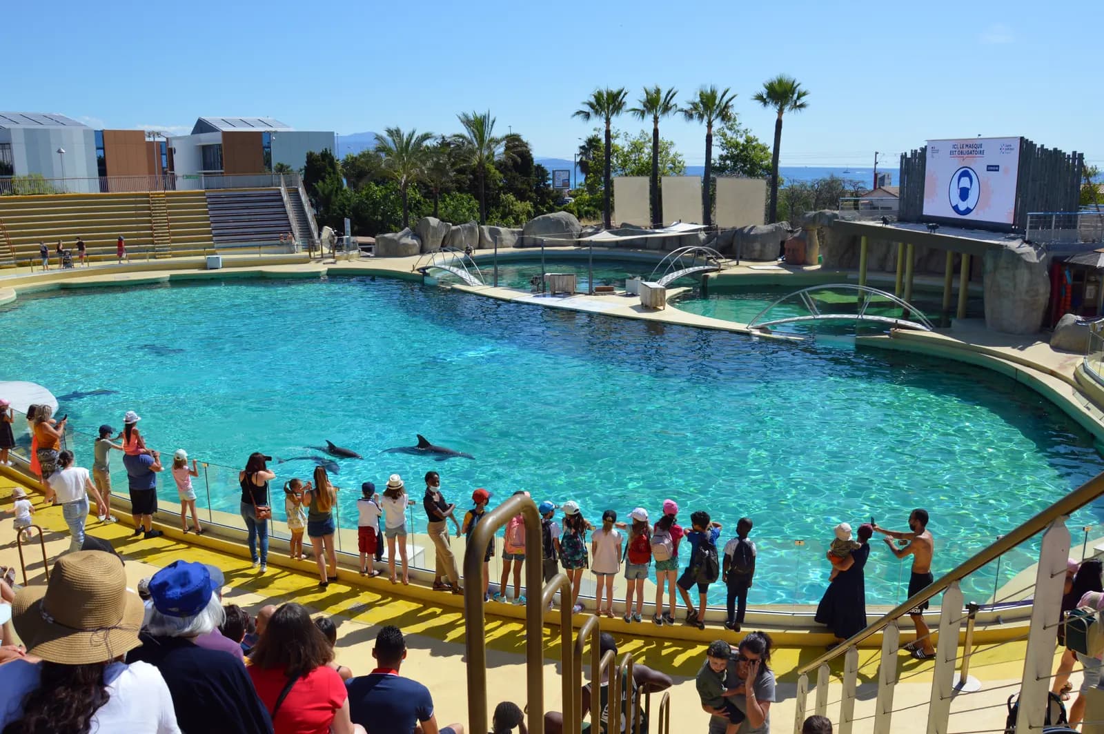 Hurghada Dolphin Show — image 1
